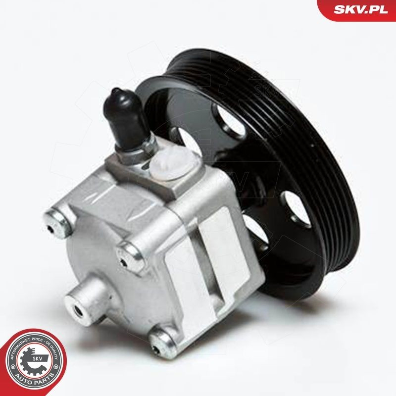 10SKV028 SKV